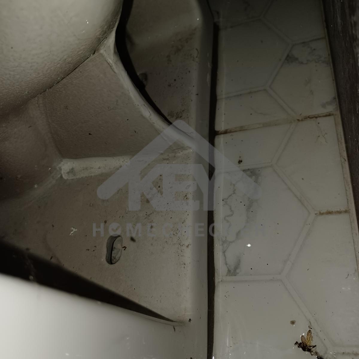 งานห้องน้ำชั้น 1 (1)