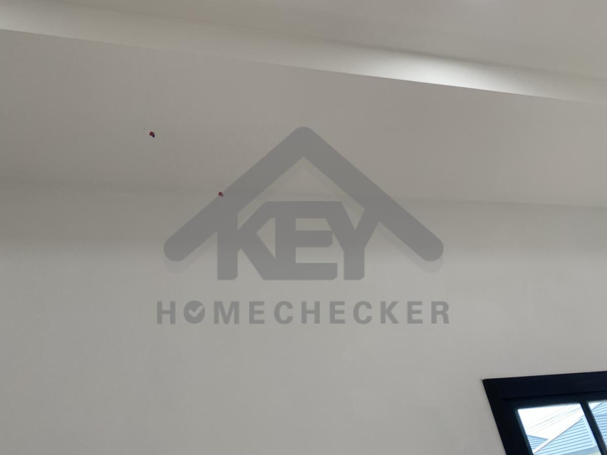 งานห้องโถง ห้องนั่งเล่น