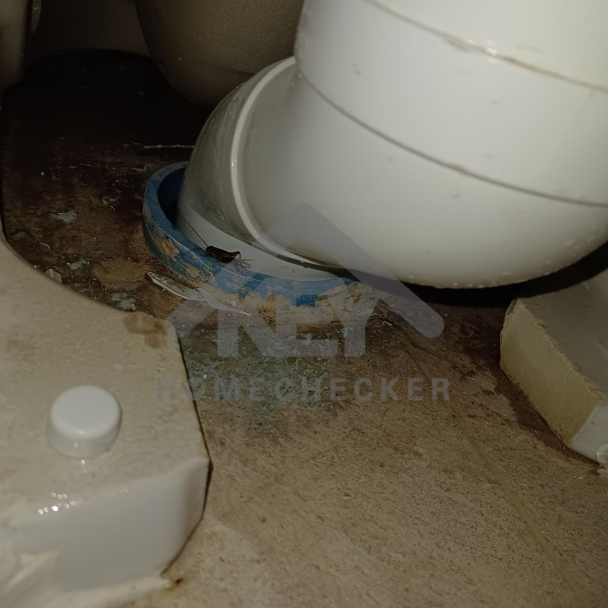 งานห้องน้ำชั้น 1 (1)