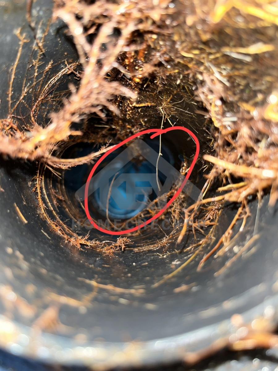 งานประปา ปั้ม และสุขาภิบาล