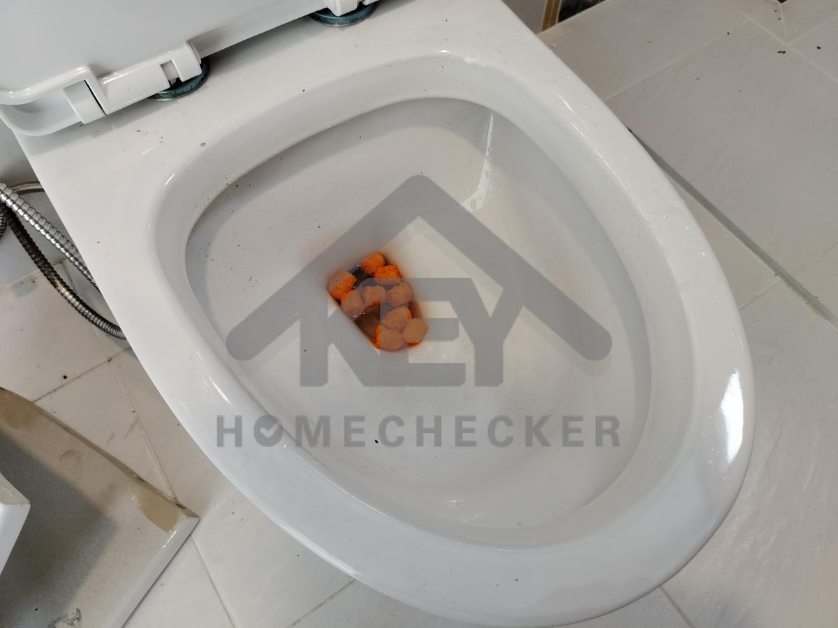 งานห้องน้ำชั้น 1 (1)