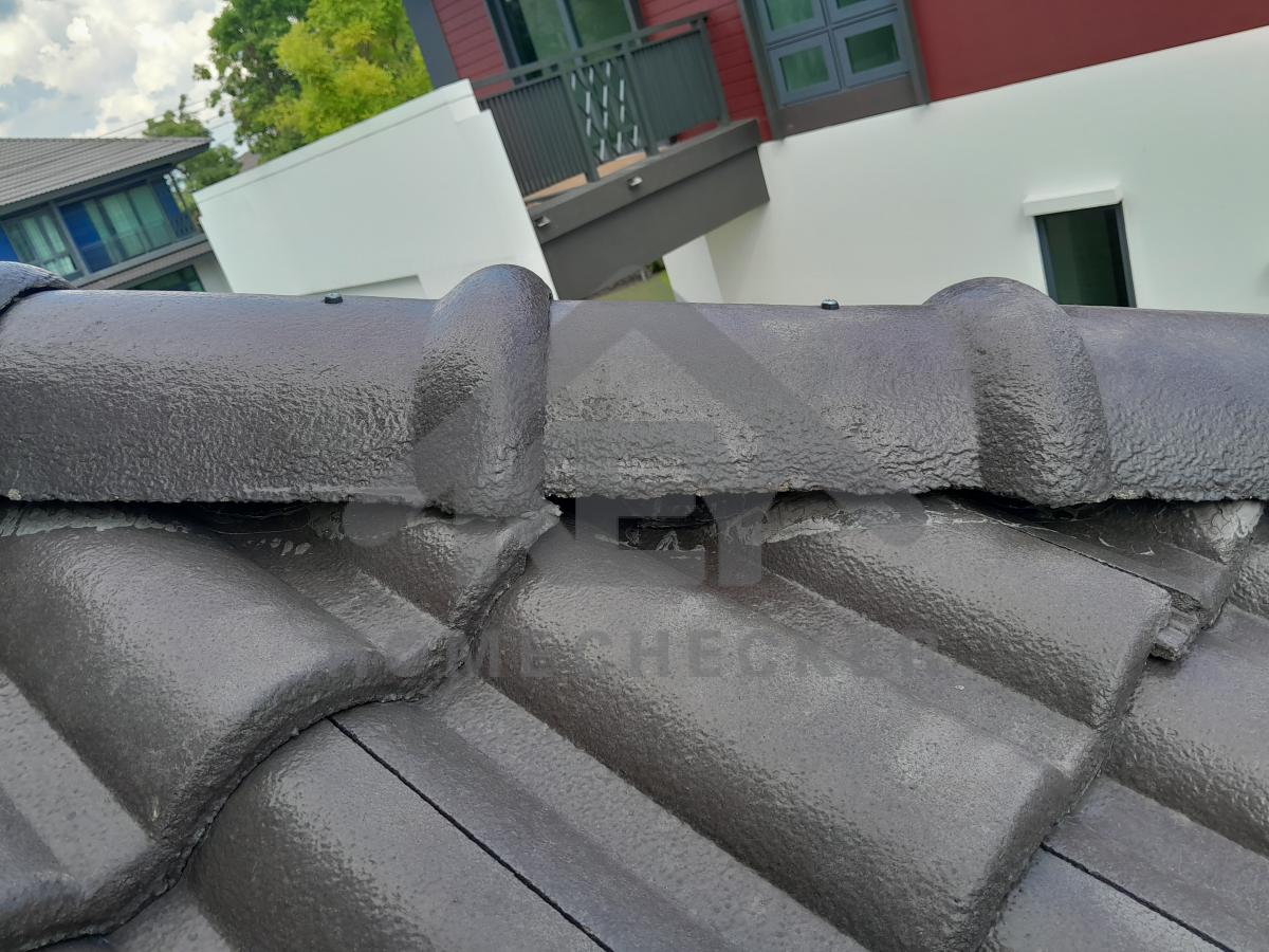 งานตรวจสอบหลังคา