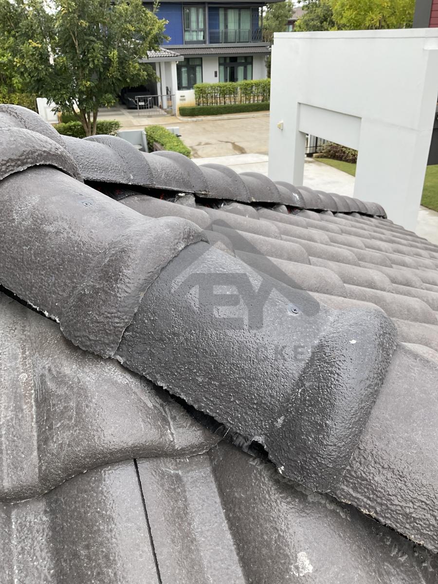 งานตรวจสอบหลังคา