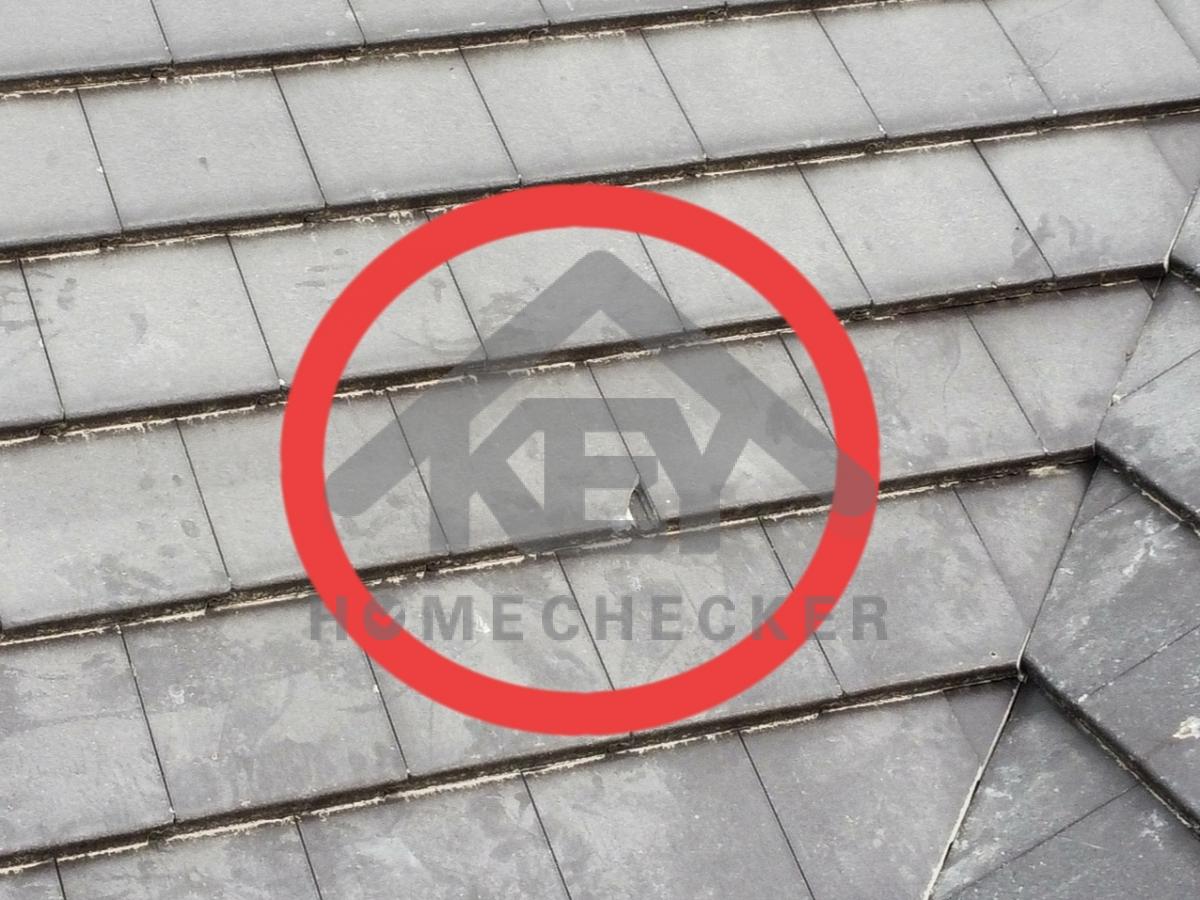 งานตรวจสอบหลังคา