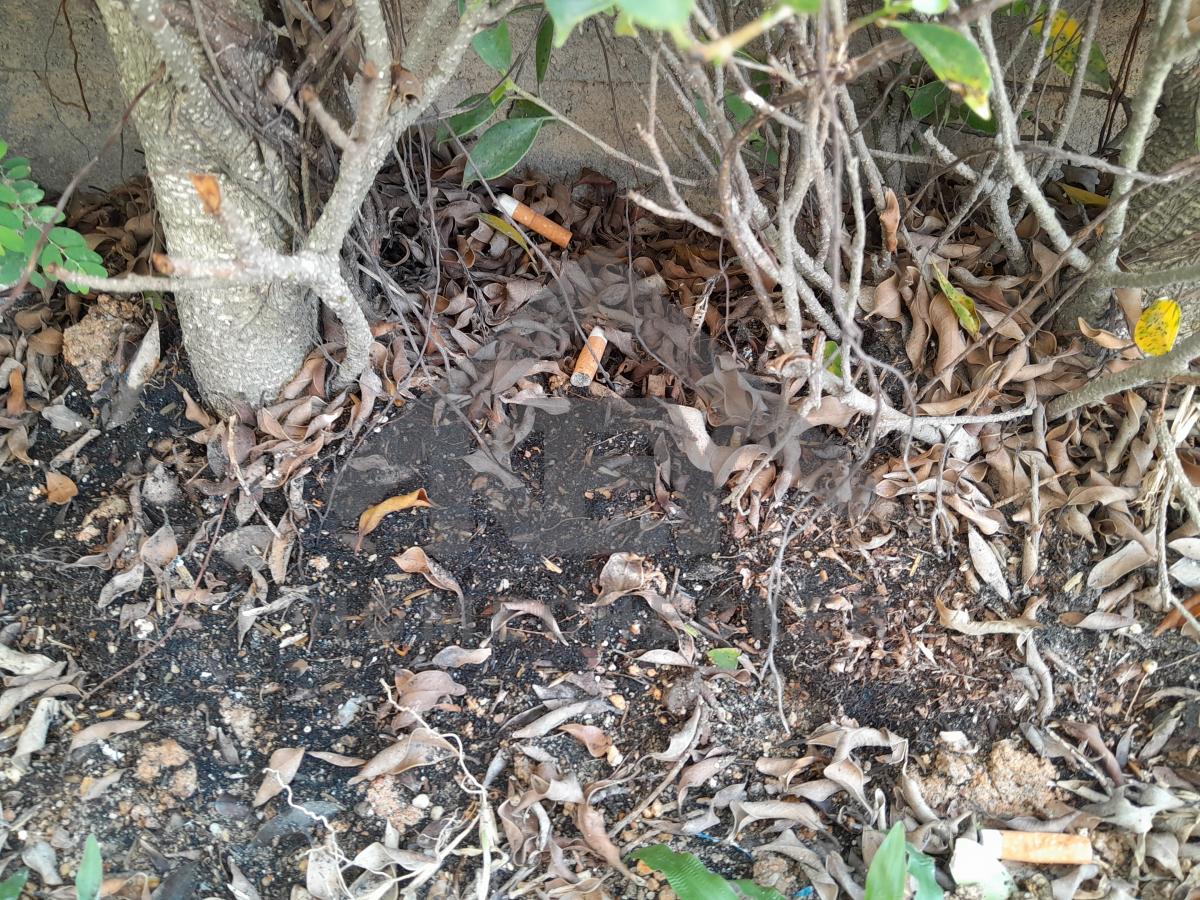 งานภูมิทัศน์และพื้นที่ภายนอกบ้าน