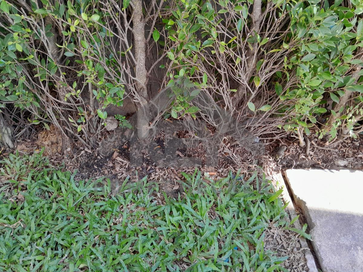 งานภูมิทัศน์และพื้นที่ภายนอกบ้าน