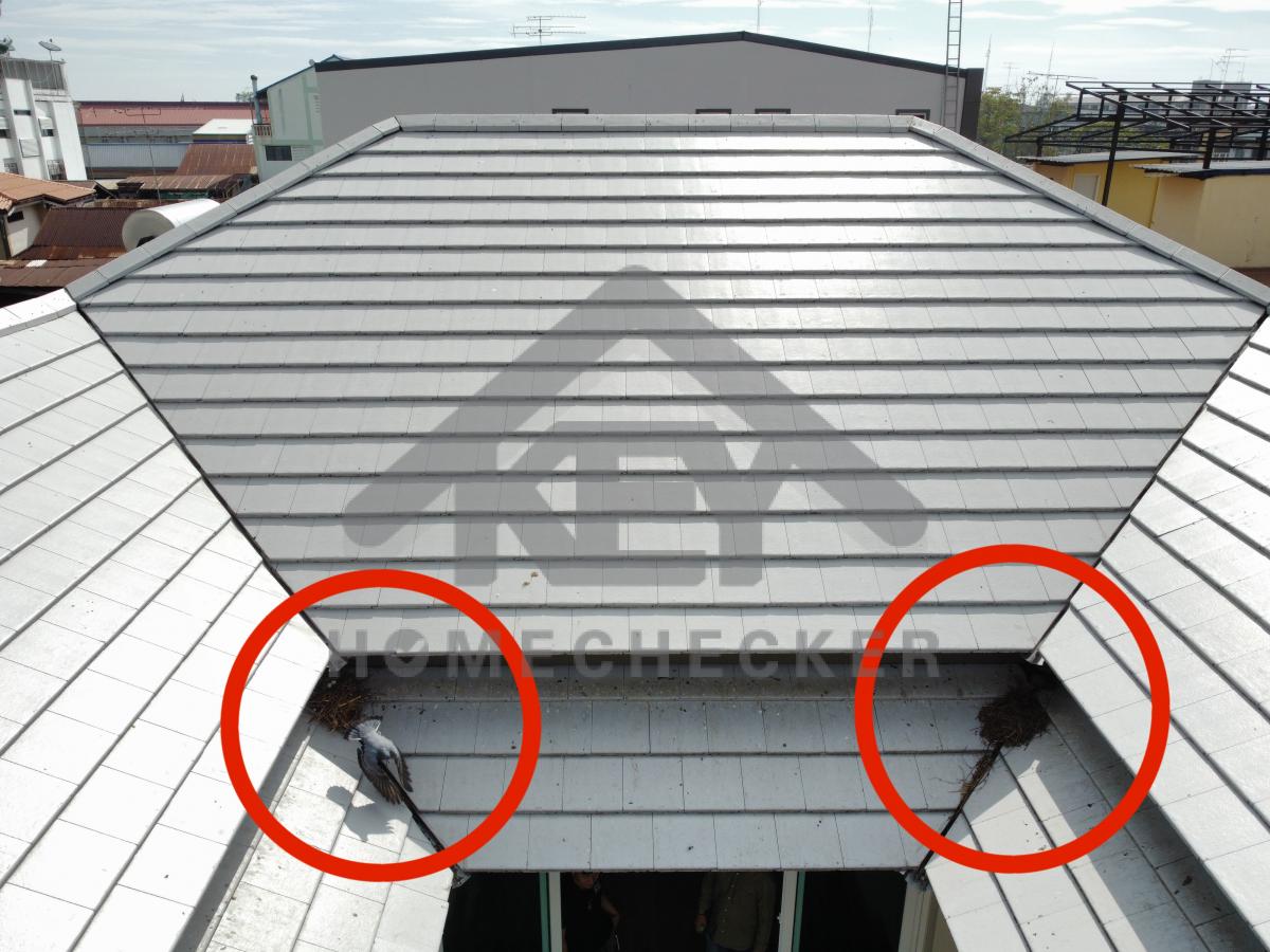 งานตรวจสอบหลังคา