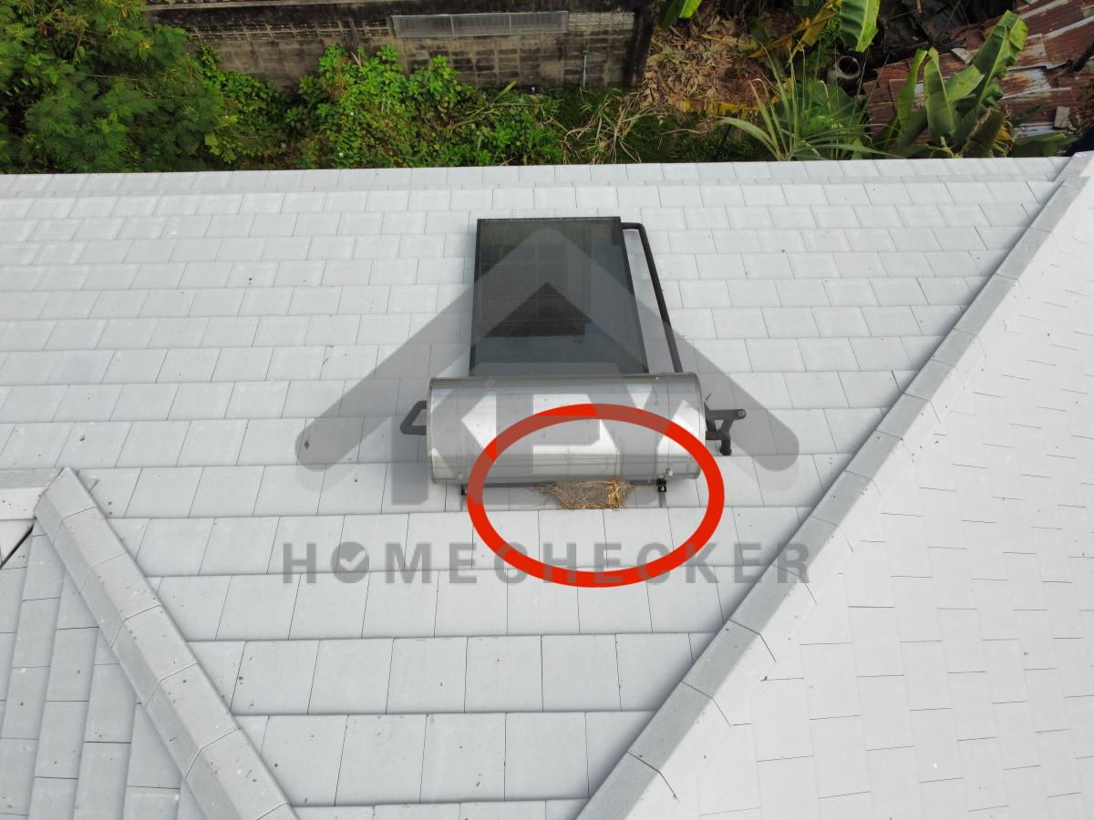 งานตรวจสอบหลังคา