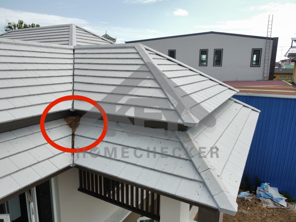 งานตรวจสอบหลังคา