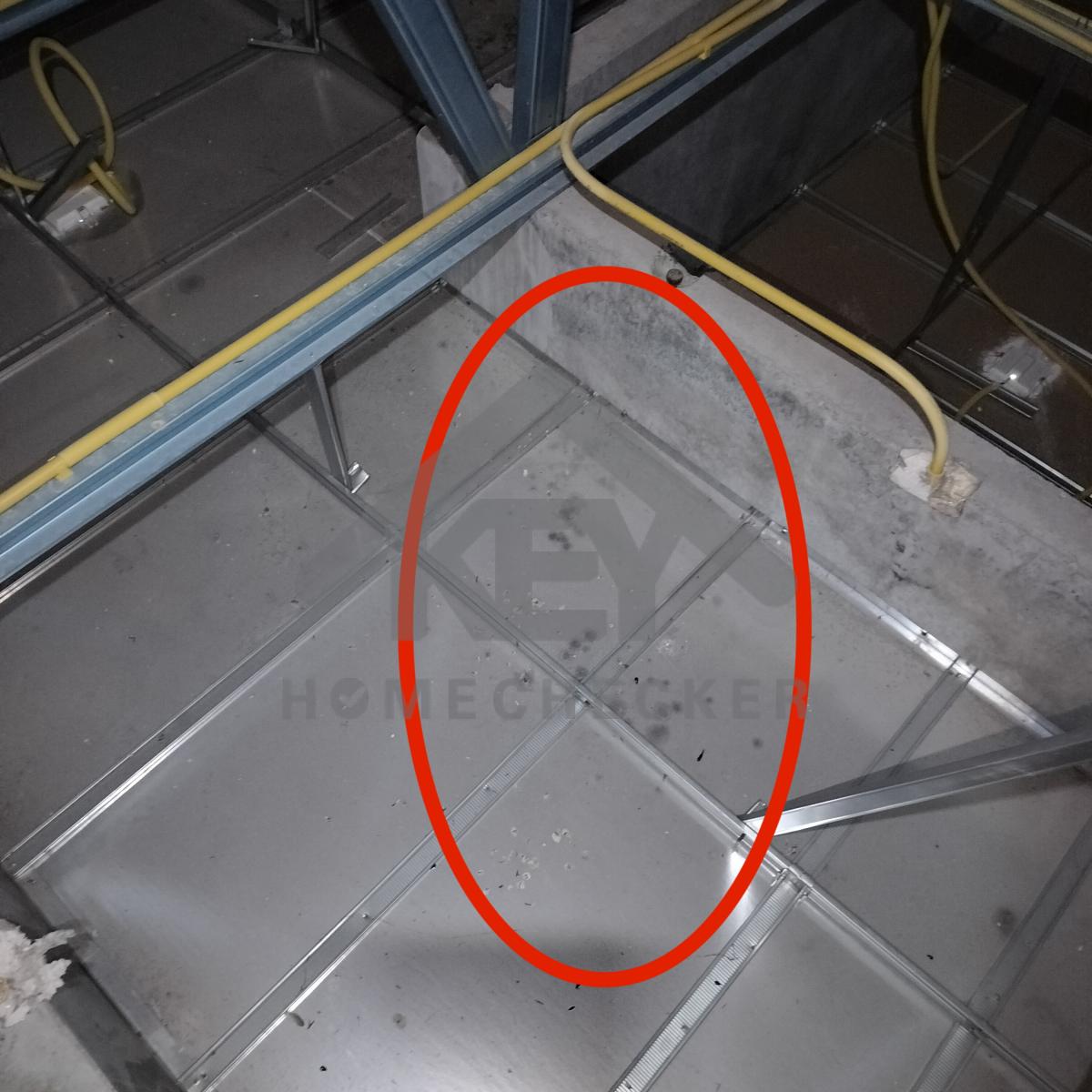 งานฝ้าชายคาและโครงฝ้า