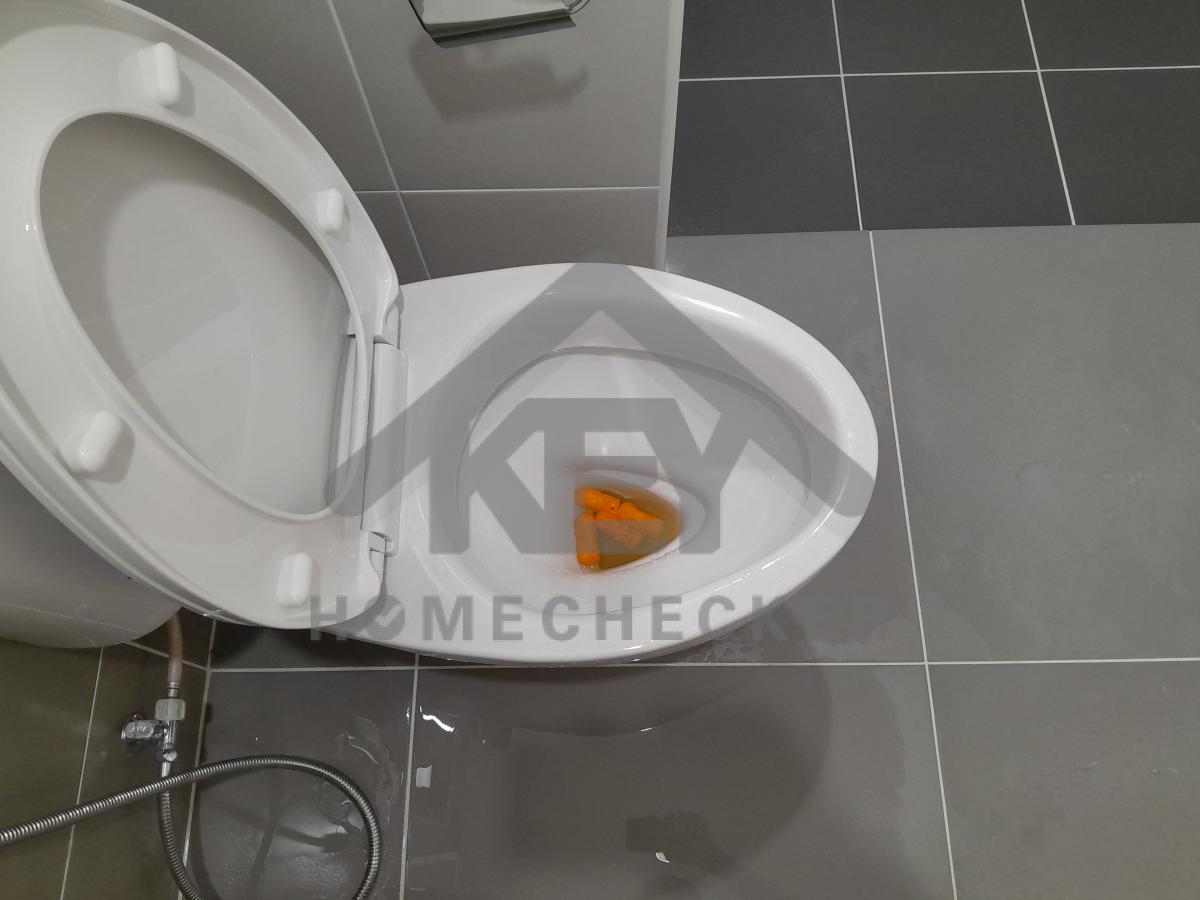 งานประปา ปั้ม และสุขาภิบาล